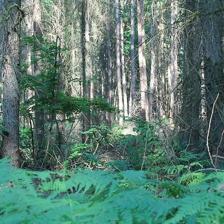 Am Ii Im Biospharenreservat 아파트