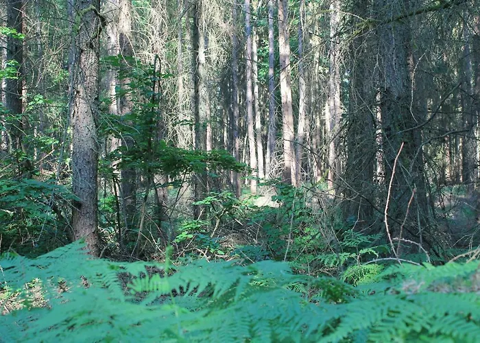 Am Ii Im Biospharenreservat شقة